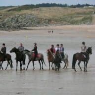 BALADE A CHEVAL - ECURIE DE FREHEL - OTFREHEL (19)