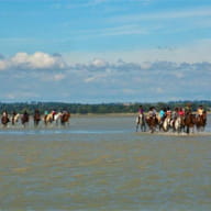 Centre équestre et poney club La Foucheraie