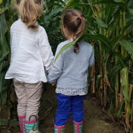 Labyrinthe de Maïs de Combourg