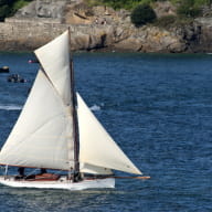 Les amis de Wilful - Saint-Malo