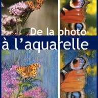 Expo_photo_a_aquarelle_saint-Brieuc_2021