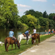 Centre équestre et poney club des 3 chênes à Guichen