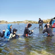 Balade à la palme en Baie de Morlaix