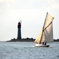 Les amis de Wilful - Saint-Malo