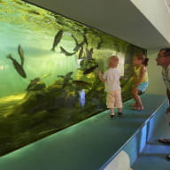 Les Musées du Pays de Lorient - SELLOR