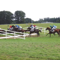 courses hippiques - Ploërmel - Brocéliande