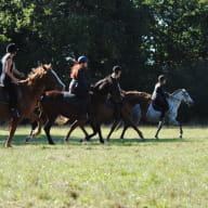 Ferme équestre 