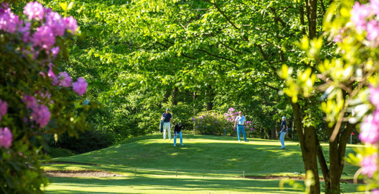 Golf de la Freslonnière - Le  Rheu