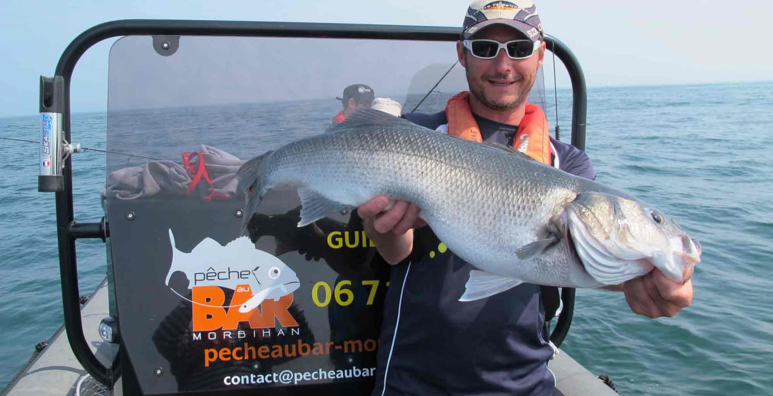 Pêche au bar Morbihan