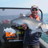 Pêche au bar Morbihan