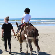 Randonnée avec les ânes de la Terre vers la mer