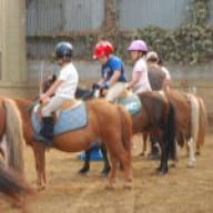 Ecuries de Marlau, centre équestre poney-club