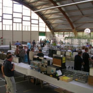 expo oiseaux exotiques - monterrein - broceliande - bretagne