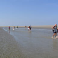 Maison de La Baie du Mont-Saint-Michel au Vivier-sur-Mer