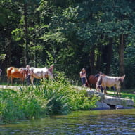 Ecuries-de-la-Cassoire