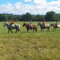 Douarnenez-centre-equestre-Bretagne-2