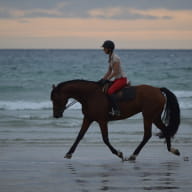 centre-equestre-le-Trefle-Ploneour-Lanvern-Pays-Bigouden-3