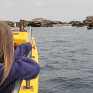 4 Balades et pêche en mer - Guilvinec - Pays Bigouden