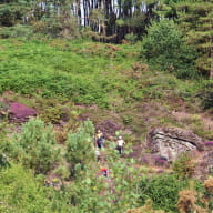 ©office de tourisme sur sentier inter St Gonlay Chambre au Loup (26)