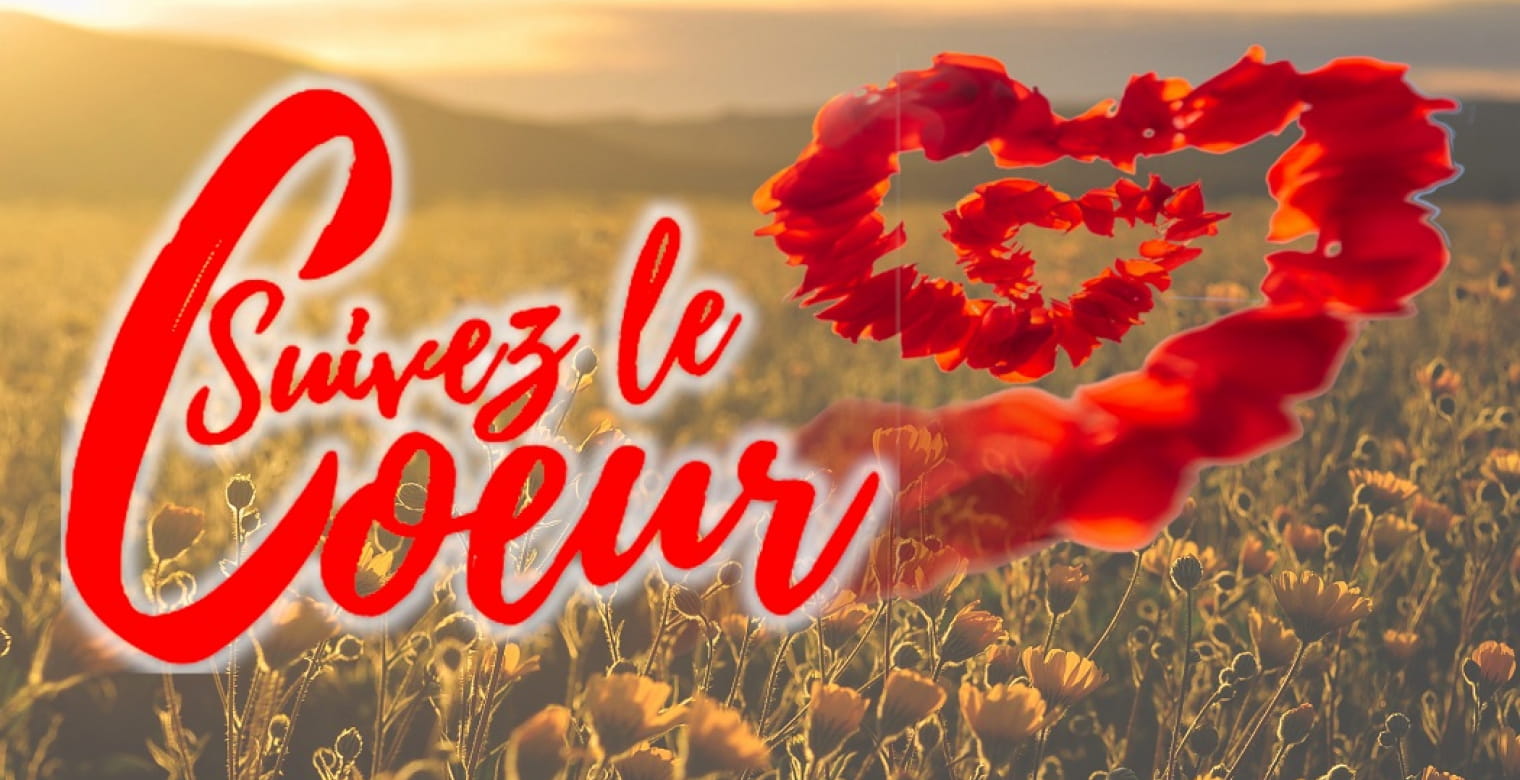 Suivez le coeur - logo