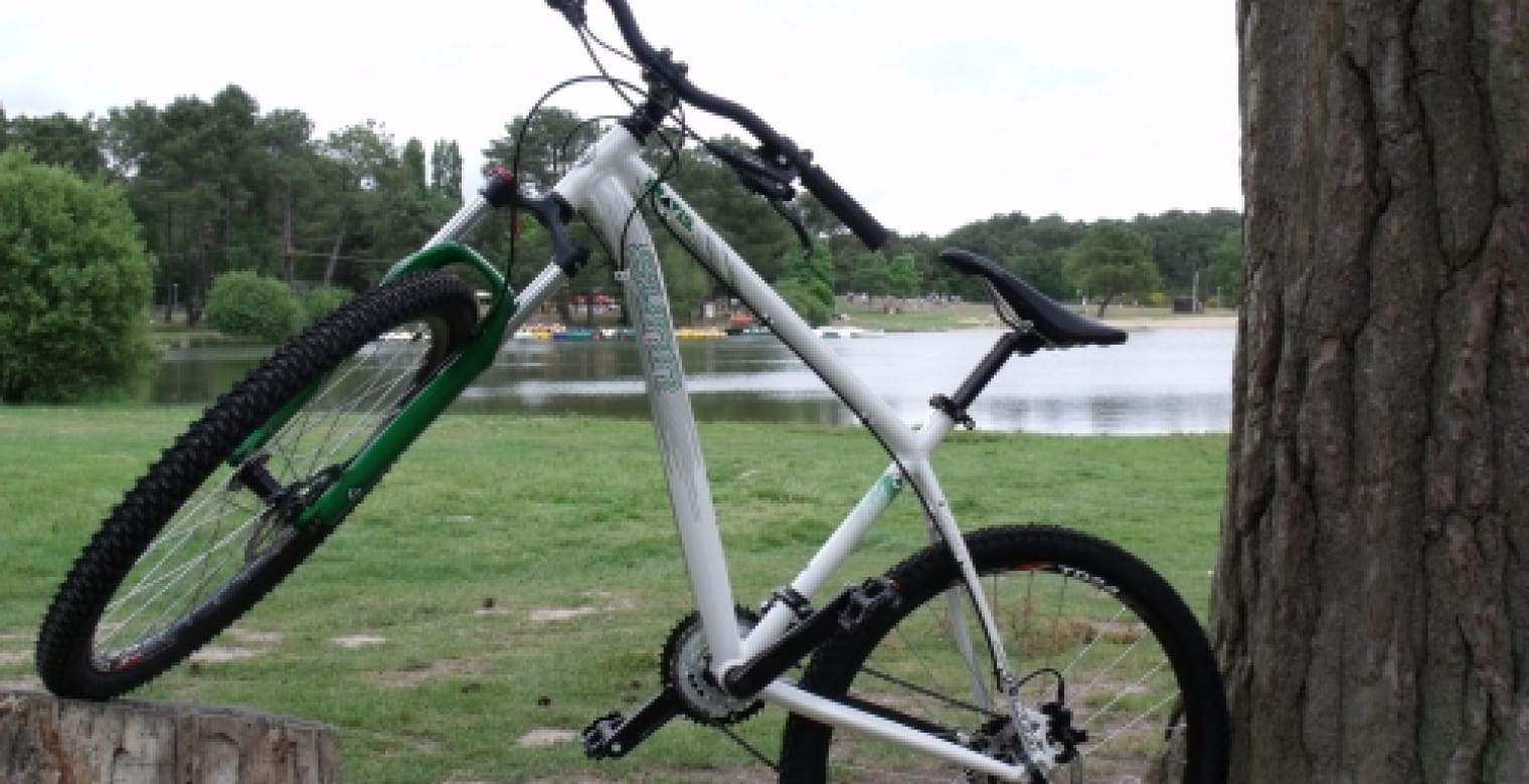 Base VTT de Brocéliande