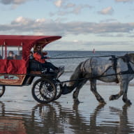 Loisirs-Les Chevaux de la Mer-Saint-Malo