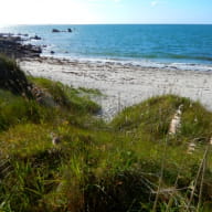 Plage Saint Samson Plougasnou 3 TSFOT