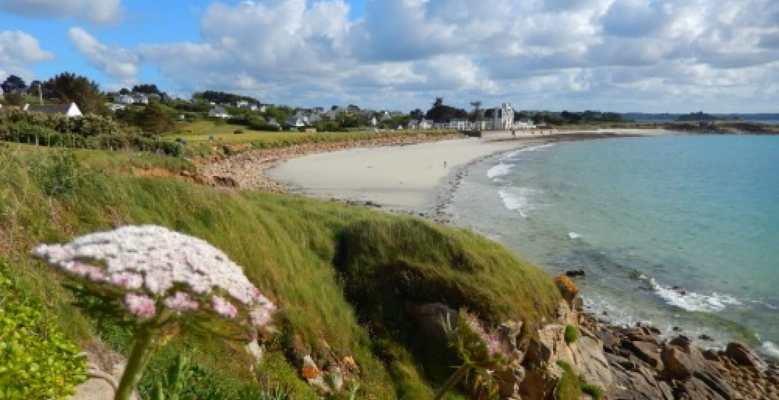 Plage Saint Samson Plougasnou 1 TSFOT