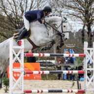 cheval concours