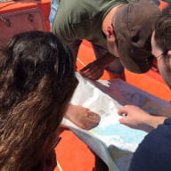 Nova chasse au trésor nautique en zodiac dans la baie de St Malo Dinard.