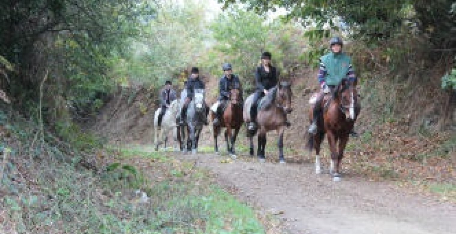 centre-equestre-le-syet