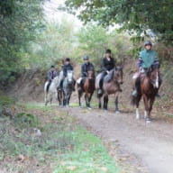 centre-equestre-le-syet