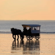 Loisirs-Les Chevaux de la Mer-Saint-Malo