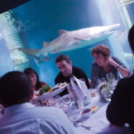 Dîner - Location Salle - Grand Aquarium - Saint-Malo