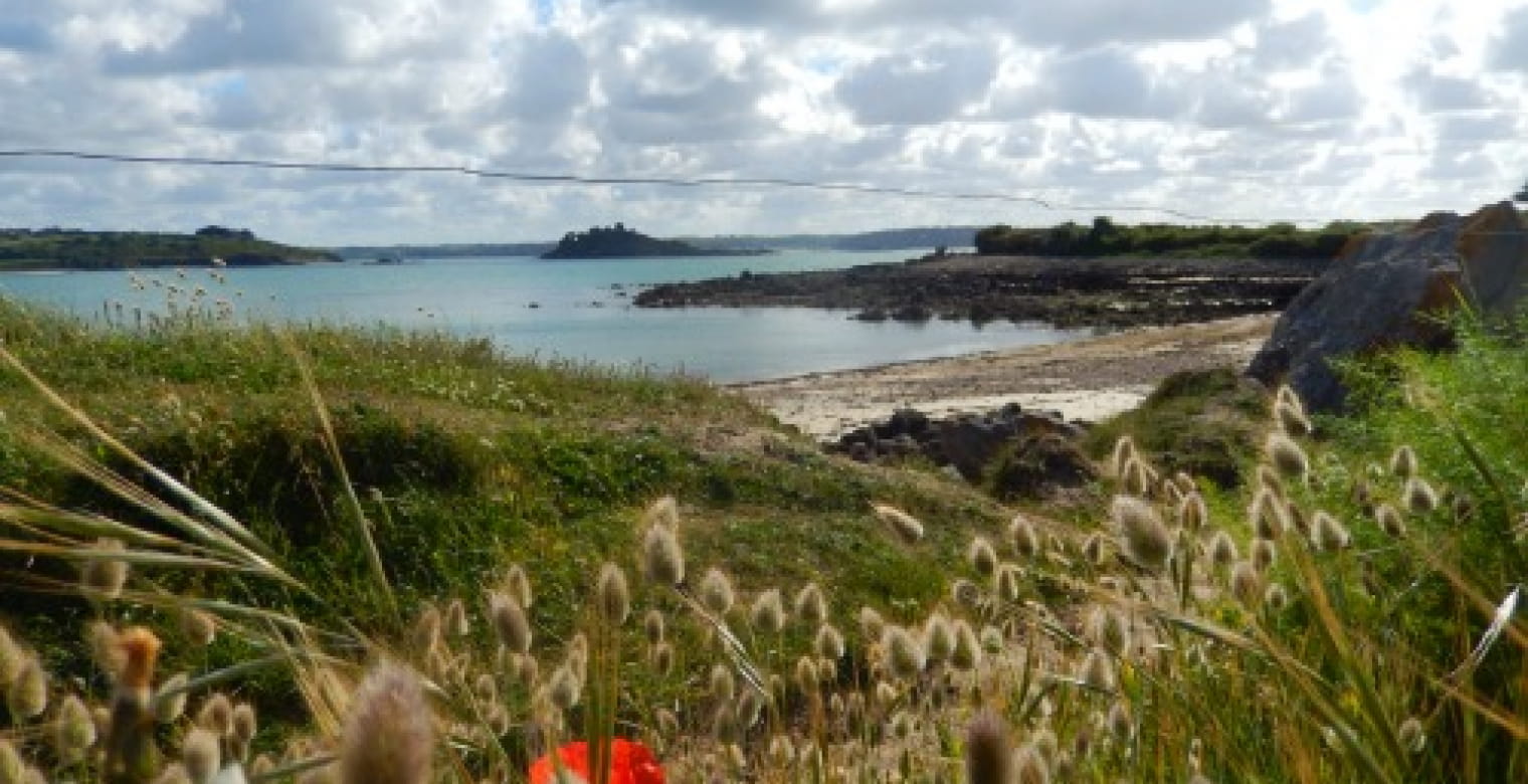 Plage Ti Lousou Saint Samson Plougasnou (13) TSFOT