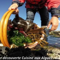 Sortie et atelier cuisine aux algues - Escapade Glas