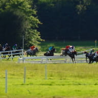 courses hippiques - Ploërmel - Brocéliande