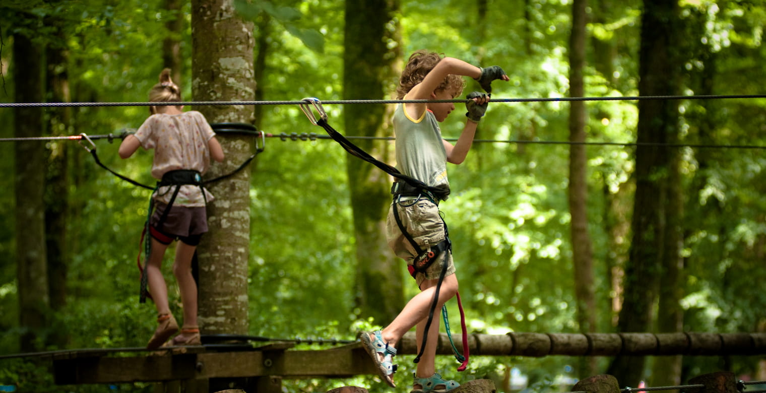 parc-des-grands-chenes-foret-villecartier-credit-photo-stenduparc