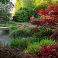 Jardins du Soleil Levant - Parc Botanique de Haute Bretagne