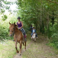 centre-equestre-triskel-Plozevet-Pays-Bigouden-3