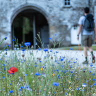 chateau Noe Seche_Le Foeil_promeneurs