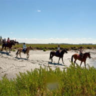 Centre équestre et poney club La Foucheraie