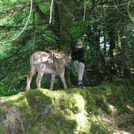 Balade dans les sous bois de Lanvellec - Commune des Côtes d'Armor