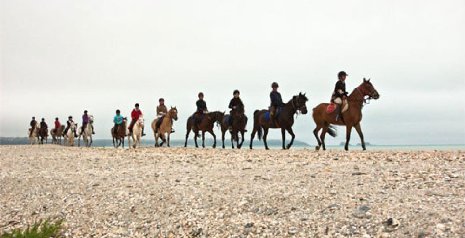 Centre équestre et poney club La Foucheraie