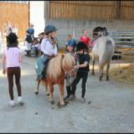 Ecuries de Marlau, centre équestre poney-club