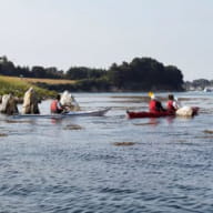 Kerners-kayak-er-lannic-arzon-morbihan-bretagne sud