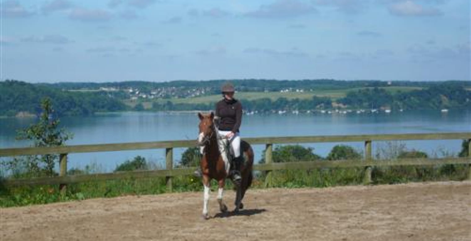 Centre Equestre et Poney Club Les Ecuries des Perrières