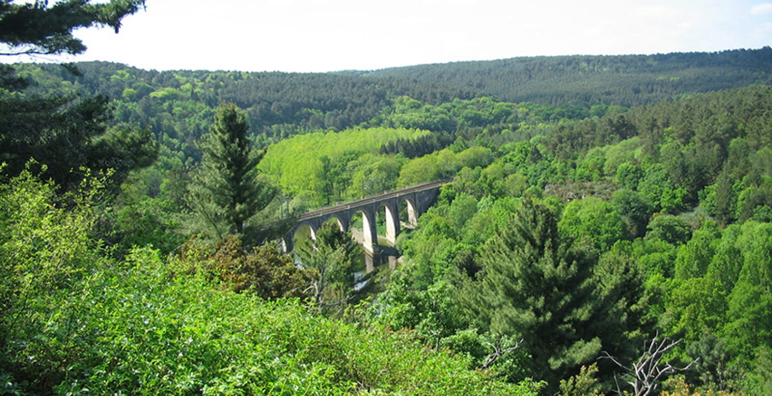 Point-de-Vue-Viaduc-Les-Collines-Langon-06.05