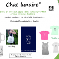 Chat-Lunaire-creation-site