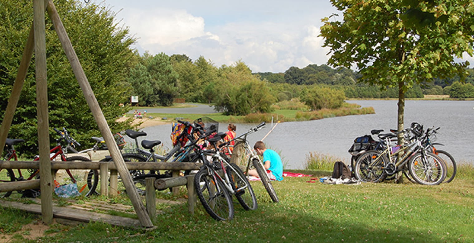 Etang de Buhel - Plessé